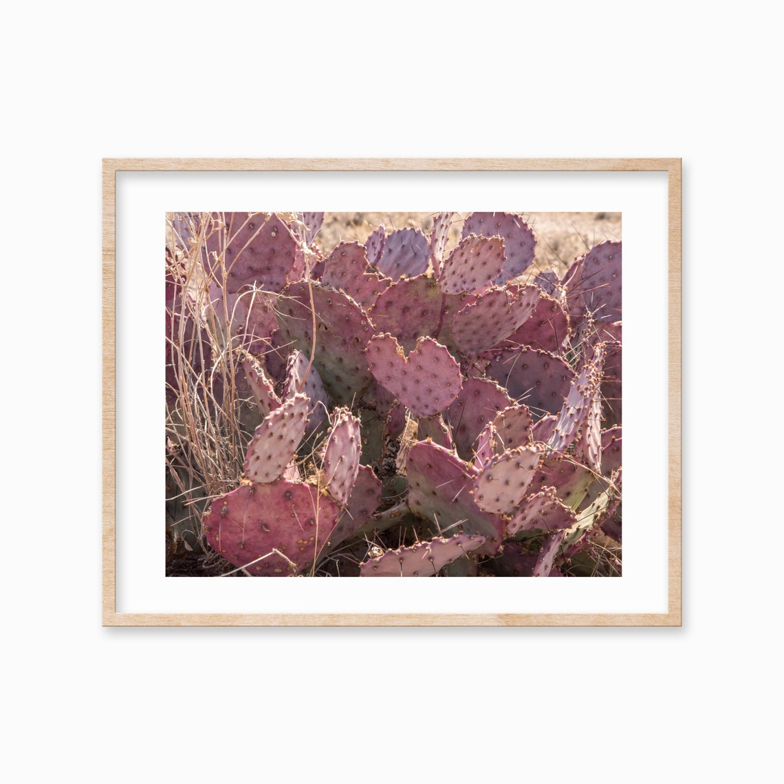 Purple Prickly Pear Cactus Close Up Desert Botanical Art Poster - Image 3