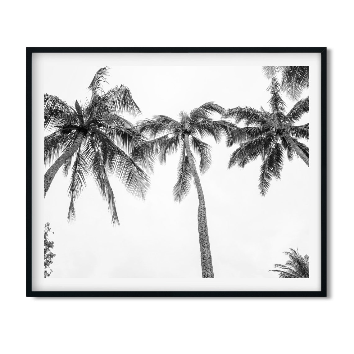 Black and White Palm Trees Viewed From Below Photo Art Poster - Image 3