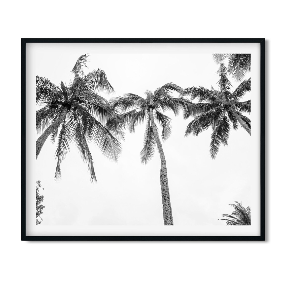 Black White Three Palm Trees Print Hawaiian Art Beach Coastal Wall Art Decor Large Palm Tree Poster Botanical - Image 3