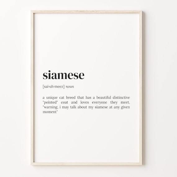 Siamese Dictionary Definition Funny Cat Breed Quote Typography Art Poster