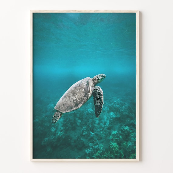 Sea Turtle Colorful Poster Print Sea Turtle Photo Wall Art Wall Art Boho Decor Colorful Wall Art Photography Poster Print C18 53