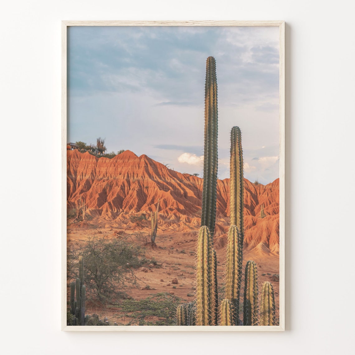 Desert Cacti and Red Rock Cliffs Tatacoa Colombia Landscape Poster