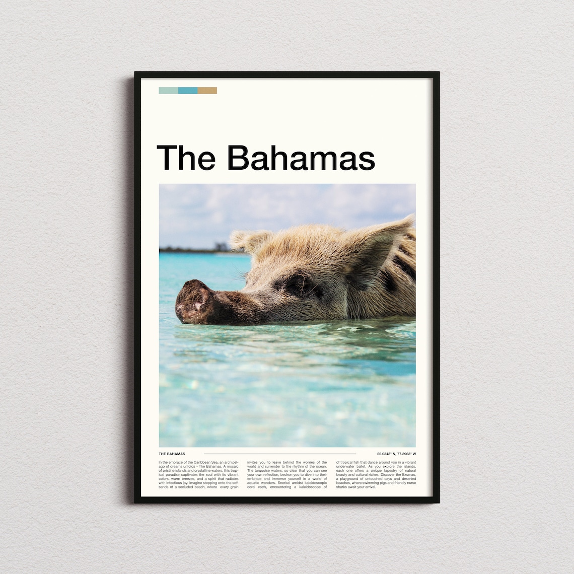 Bahamas Swimming Pig Crystal Water Beach Close Up Photo Poster