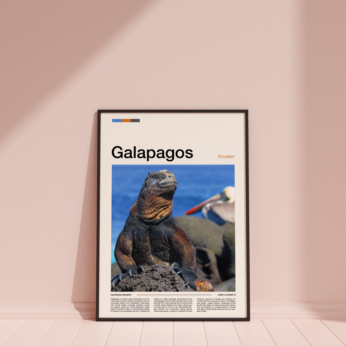 Galapagos Ecuador Marine Iguana Wildlife Nature Photography Poster - Image 3