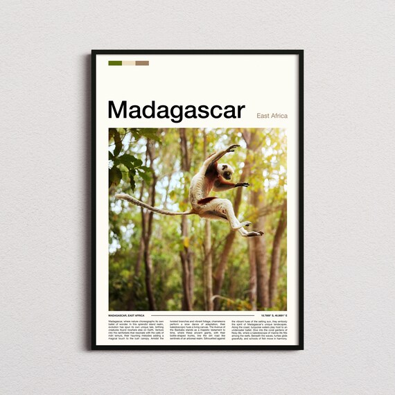 Madagascar Leaping Sifaka Lemur Forest Wildlife Photography Poster