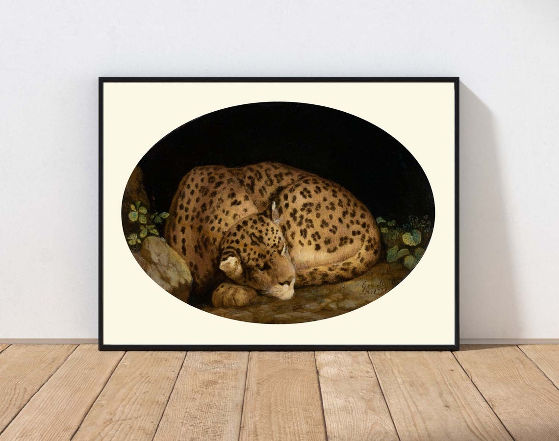 Sleeping Leopard Curled Vintage Antique Wildlife Painting Print
