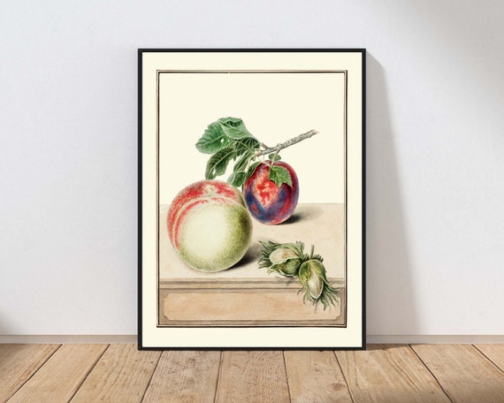 Vintage Botanical Fruit Wall Art Peach Plum Hazelnut Kitchen Dining Room Modern Farmhouse Nature Decor Mailed Print Or Instant Veg5