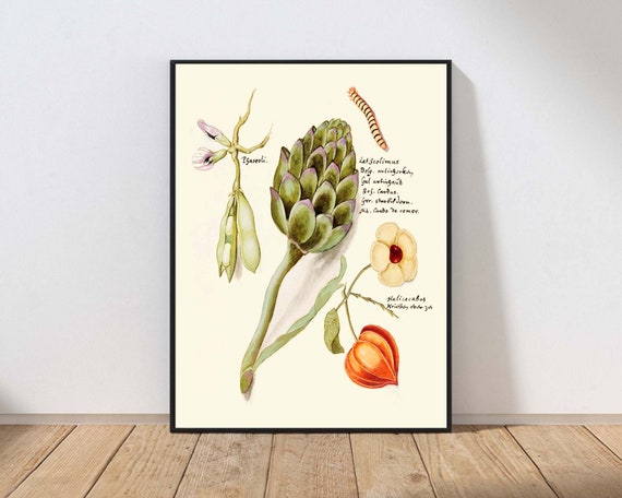 Vintage Vegetable Wall Art Artichoke Peas Tomatillo Kitchen Dining Room Modern Farmhouse Nature Decor Mailed Print Or Instant Veg6