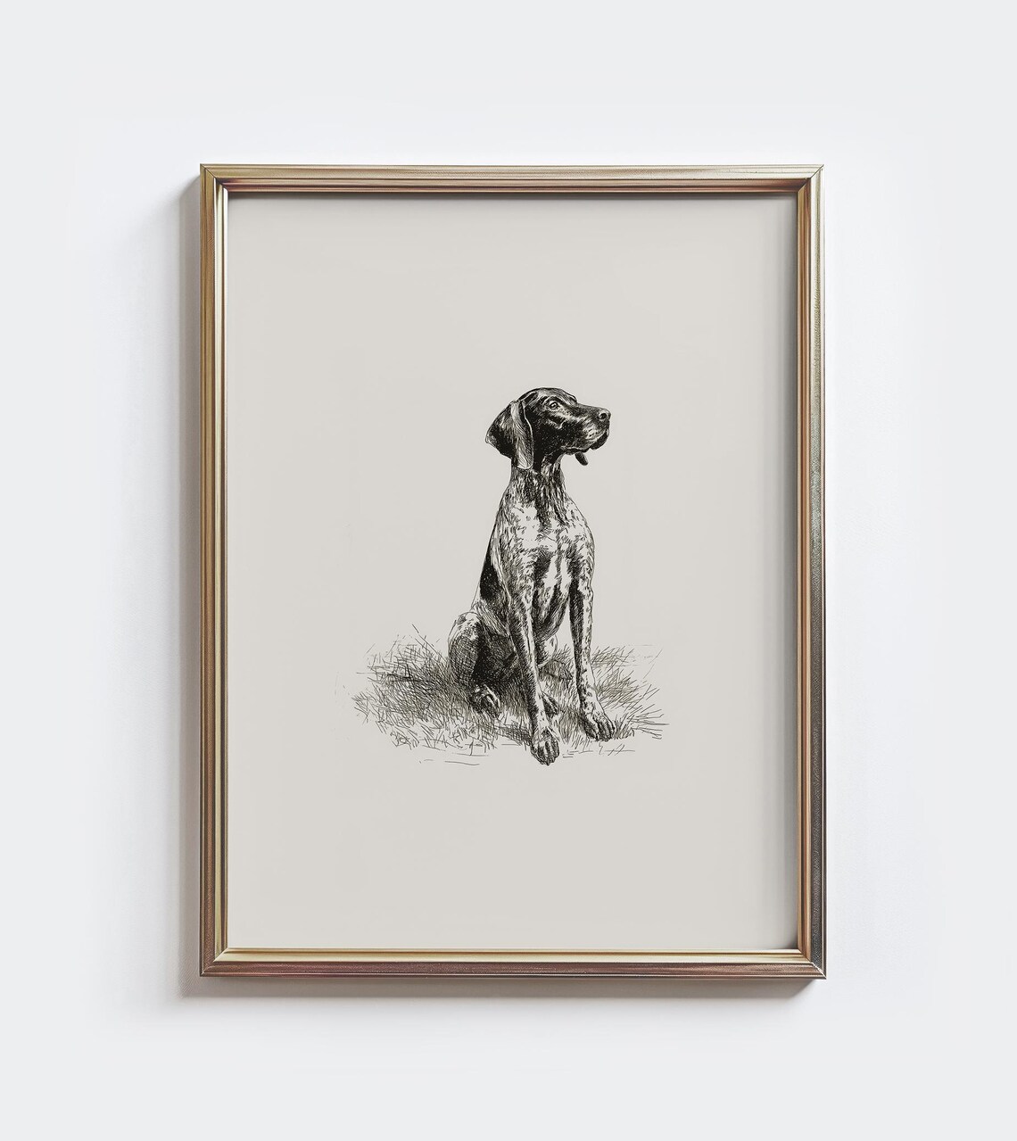 German Shorthaired Pointer Sketch Print, Vintage Farmhouse