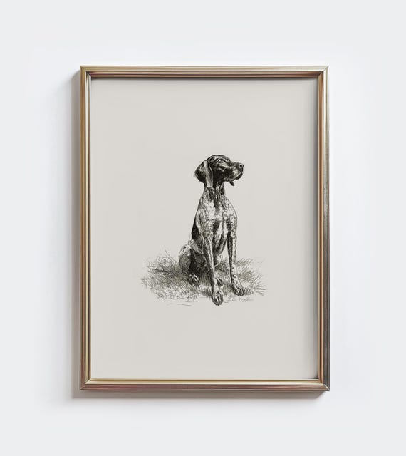 German Shorthaired Pointer Sketch Print, Vintage Farmhouse