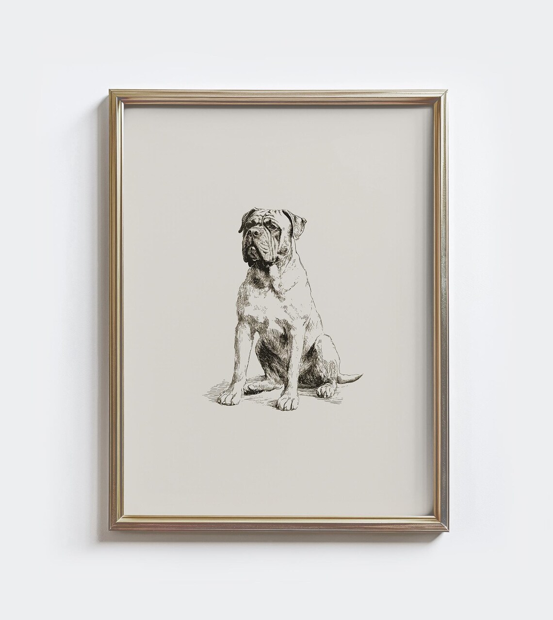 Bullmastiff Dog Sketch Vintage Black White Mastiff Portrait Farmhouse Art Poster