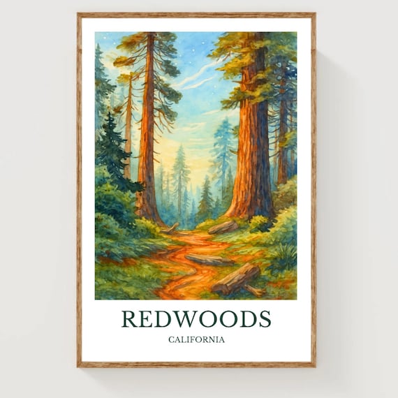 Redwoods California Towering Forest Trail Watercolor Travel Poster