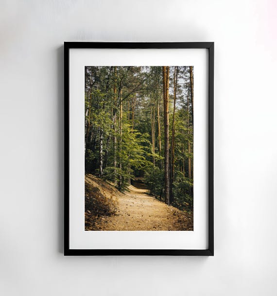 Forest Photography Nature Wall Art Poster Fineart Print Nature Photography Decor Art Wall Design Forest Path Modern Decor