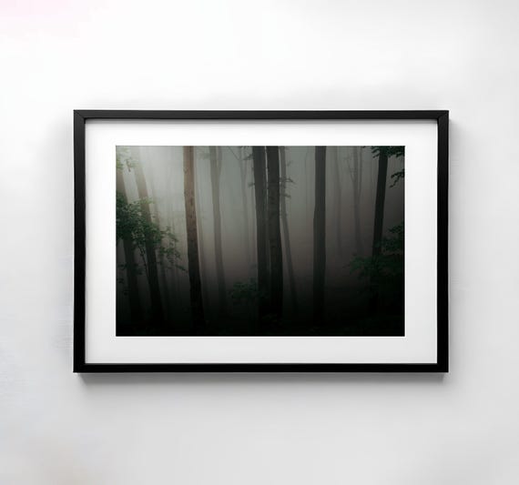 Forest Fog Photography Nature Wall Art Poster Fine Art Print Nature Photography Decor Art Wall Design Gloomy Trees