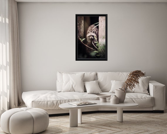 Curious Raccoon Peeking Out Through a Dark Woodland Setting Poster