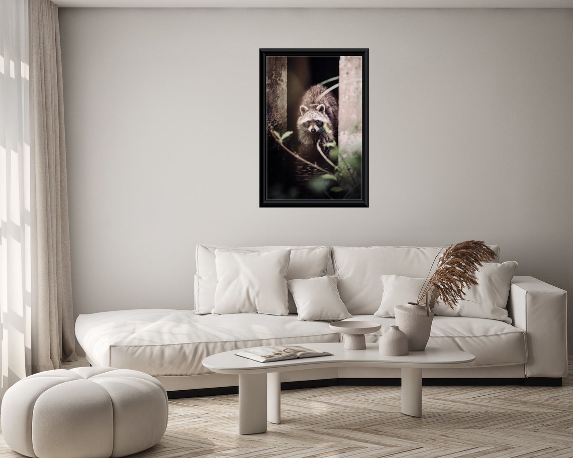 Curious Raccoon Peeking Out Through a Dark Woodland Setting Poster