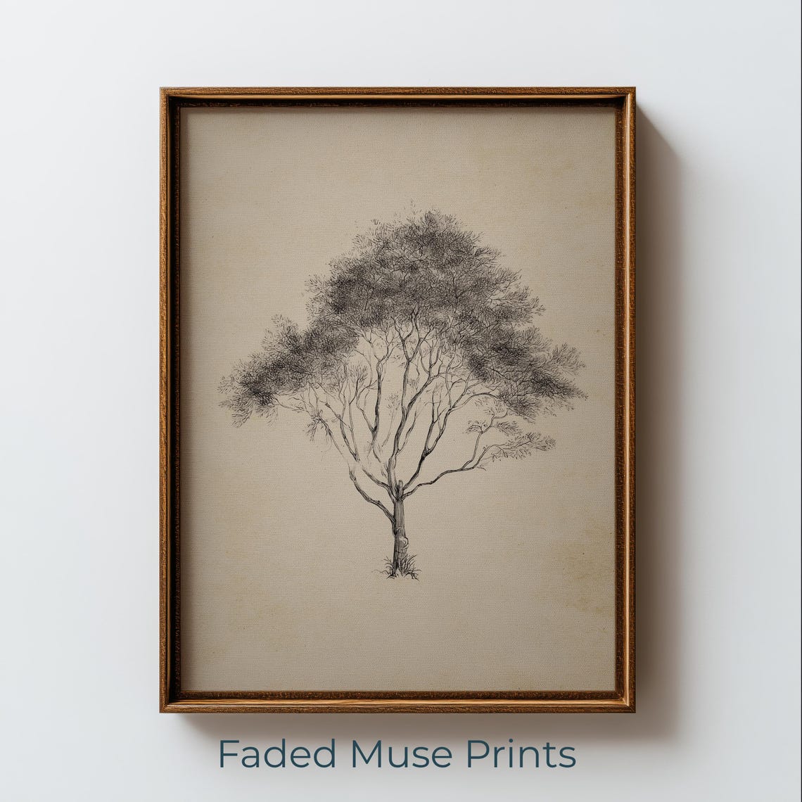 Minimalist Tree Penandink Illustration Neutral Botanical Wall Art Digital Download 1616