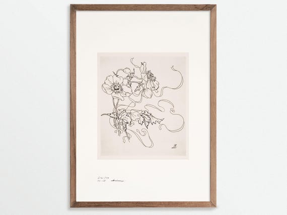 Anemone Sketch Print, Vintage Chinoiserie Botanicals