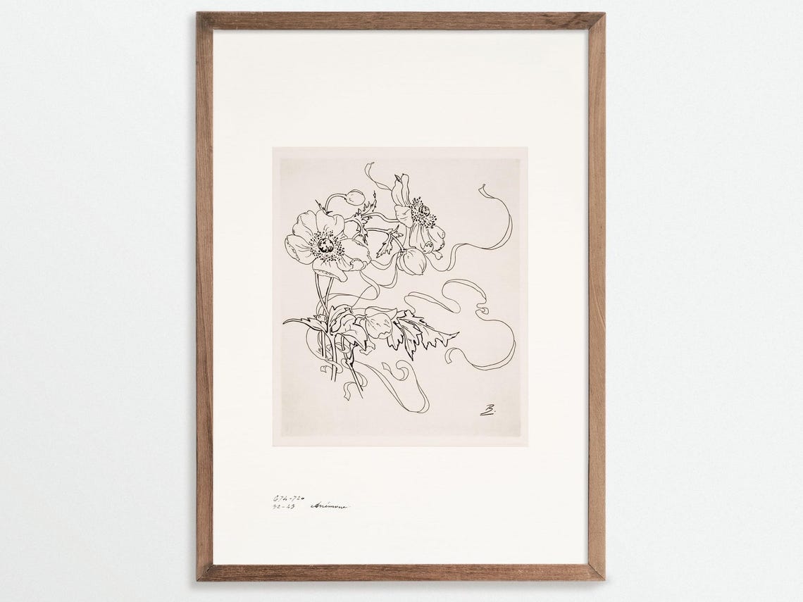 Anemone Sketch Print, Vintage Chinoiserie Botanicals