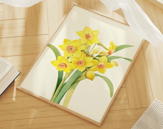 Yellow Daffodils Watercolor Bouquet Fresh Spring Botanical Poster