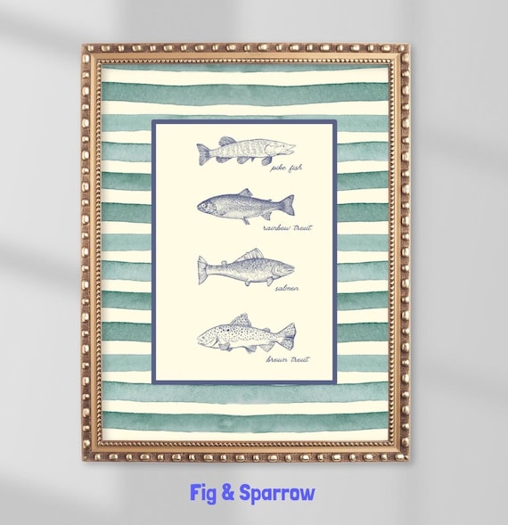 Vintage Fish Species Chart Pike Trout Salmon Scientific Art Poster