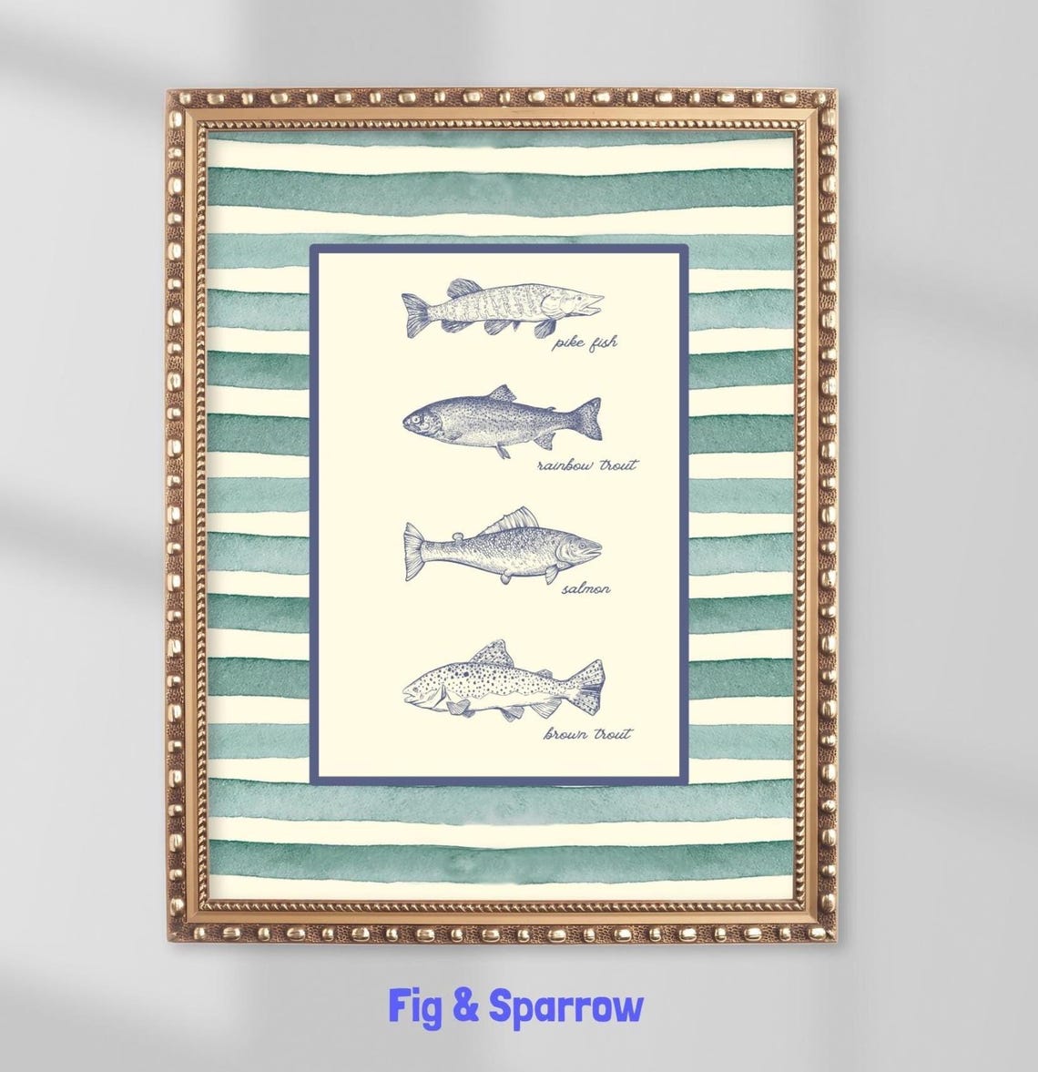 Vintage Fish Species Chart Pike Trout Salmon Scientific Art Poster