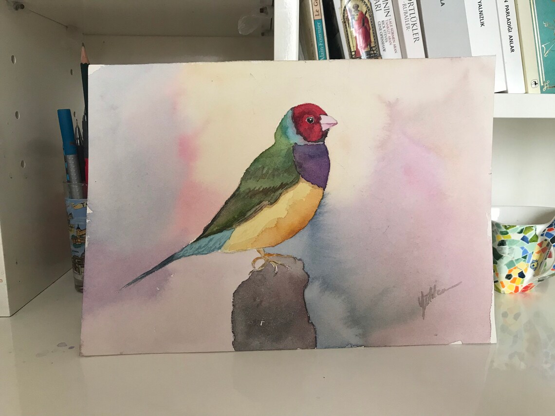 Rainbow Gouldian Finch on Pastel Wash Watercolor Bird Poster - Image 2