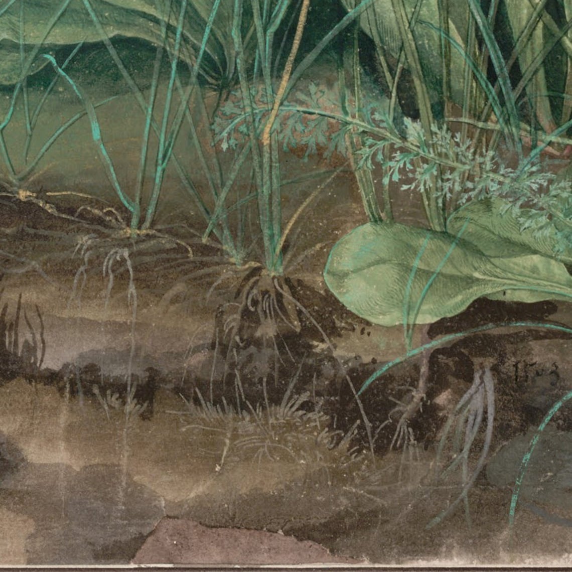 Albrecht Durer Great Piece of Turf Vintage Botanical Art Print - Image 2