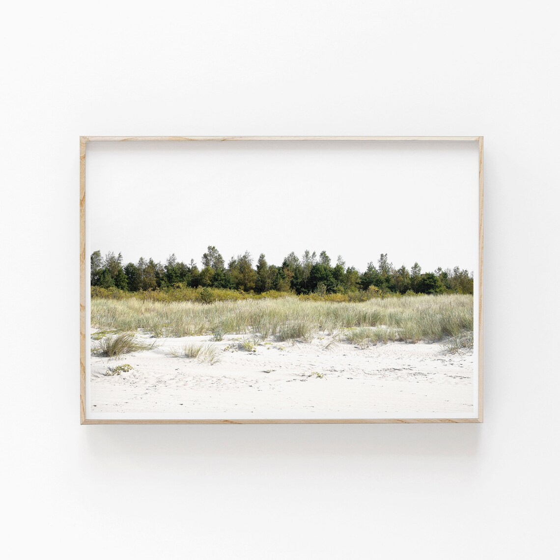 Nature Photography Minimalist Art Print, Nature Wall Decor - Image 2