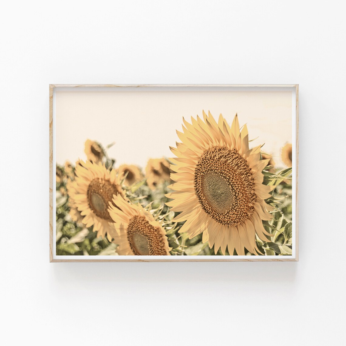 Sunflowers Botanical Floral Art Print, Horizontal