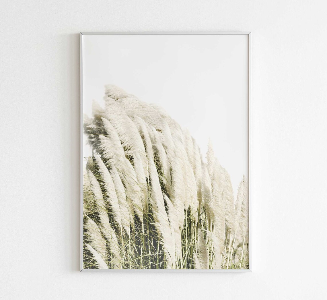 Pampas Grass Print, Farmhouse Botanical Art Print - Image 2