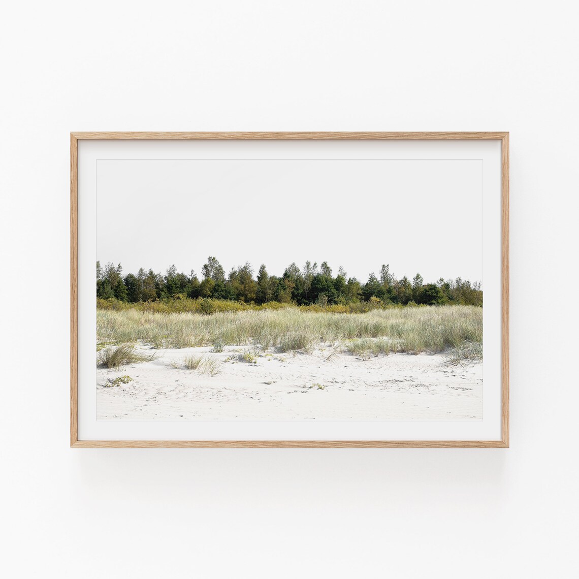 Nature Photography Minimalist Art Print, Nature Wall Decor