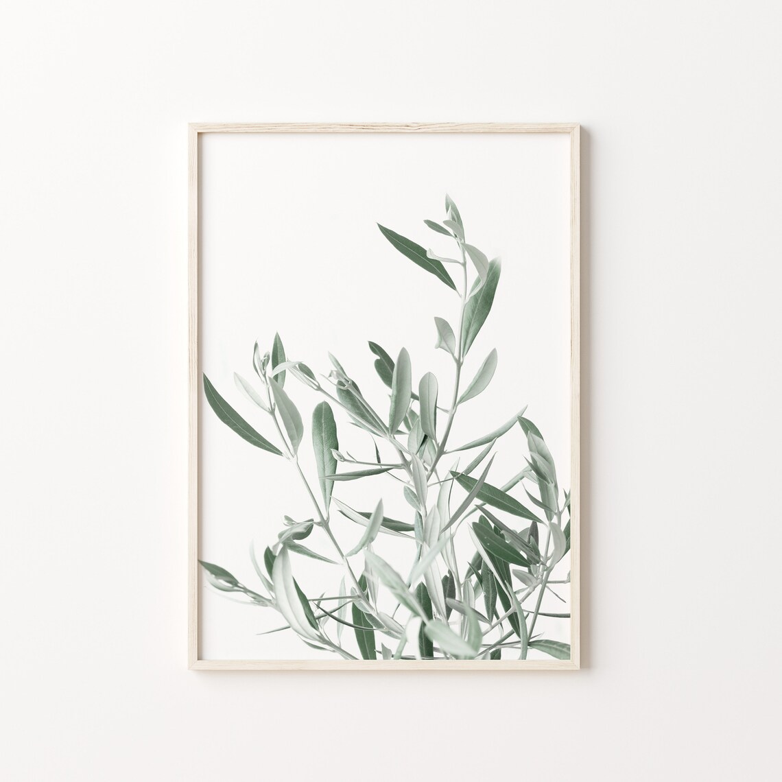 Olive Tree Botanical Art Print, Botanical Garden - Image 2