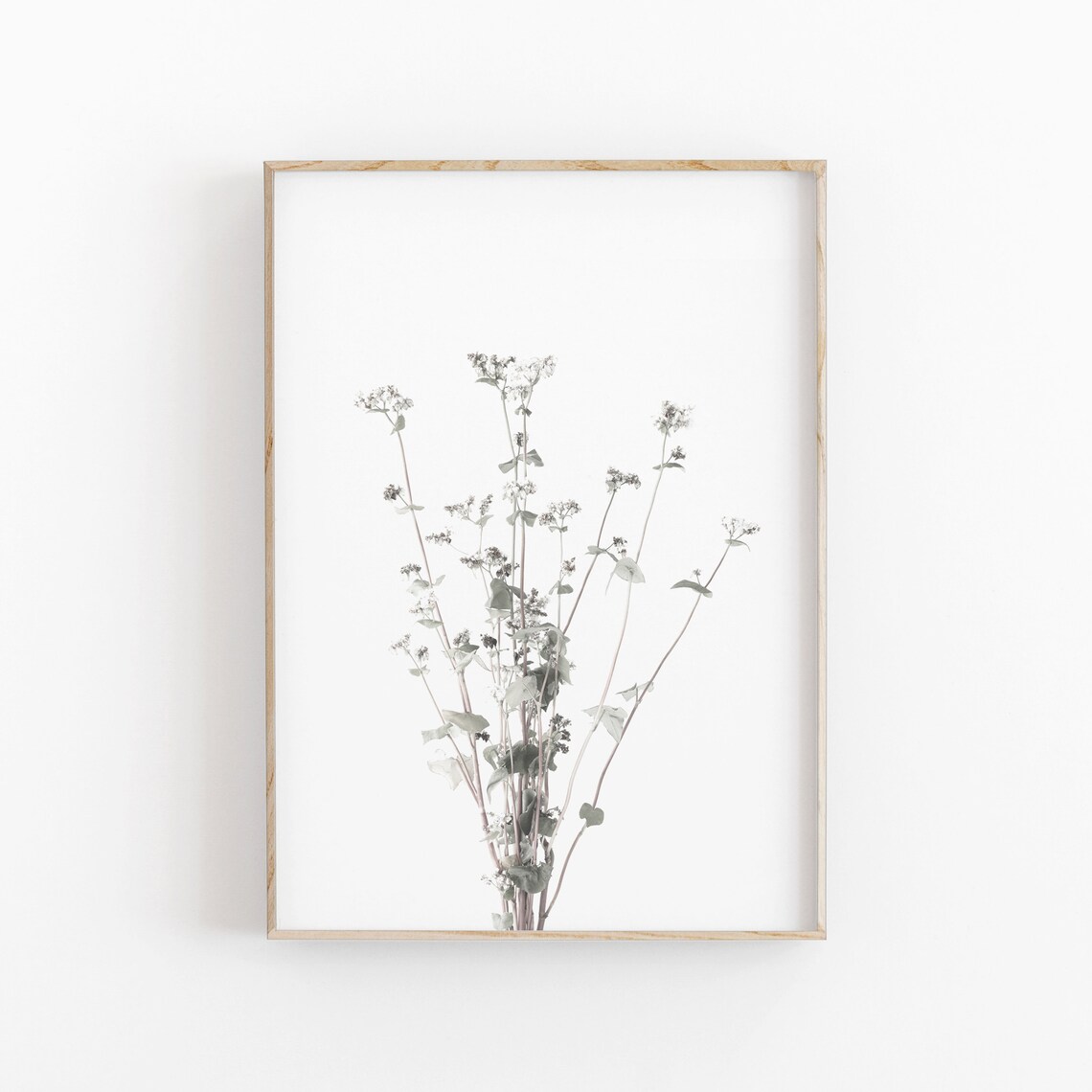 Farmhouse Buckwheat Botanical Poster Print