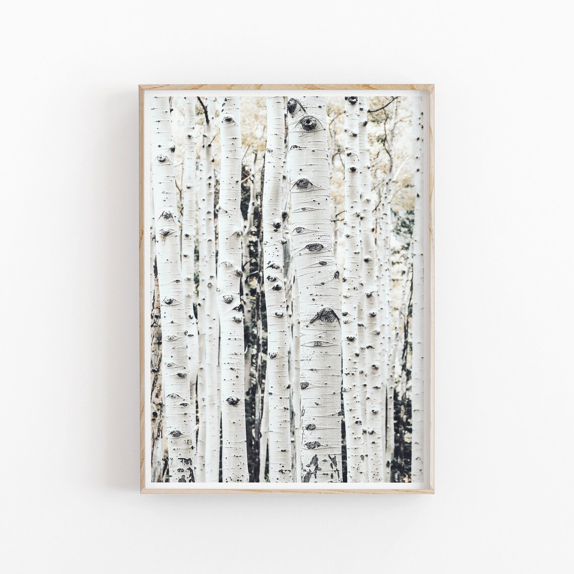Birch Print, Modern Minimalist Nature Poster