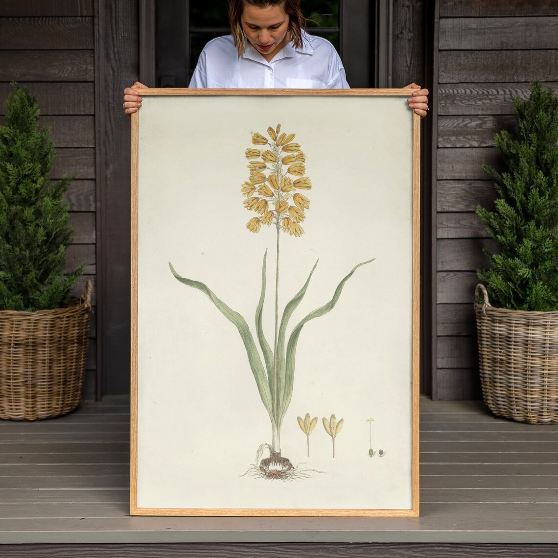 Botanical Floral Wall Art Print, Botanical Decor