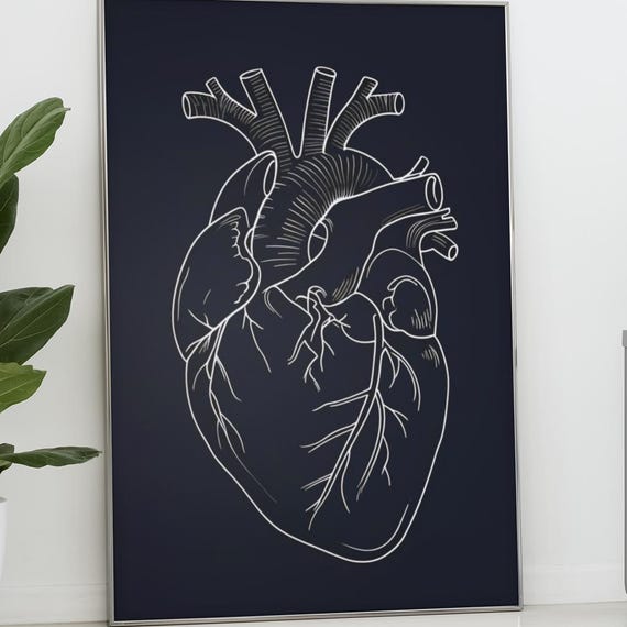 Anatomical Heart Line Art, Minimalist Medical Art