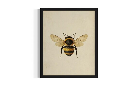 Honeybee Botanical Illustration Vintage Natural History Study Poster