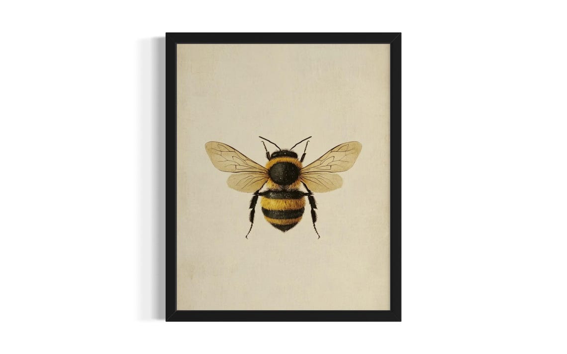Honeybee Botanical Illustration Vintage Natural History Study Poster