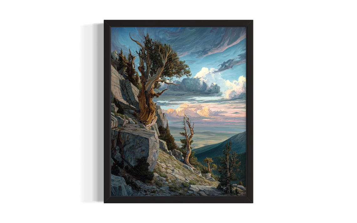 Ancient Bristlecone Pines Rocky Mountain Cliff Sunset View Poster