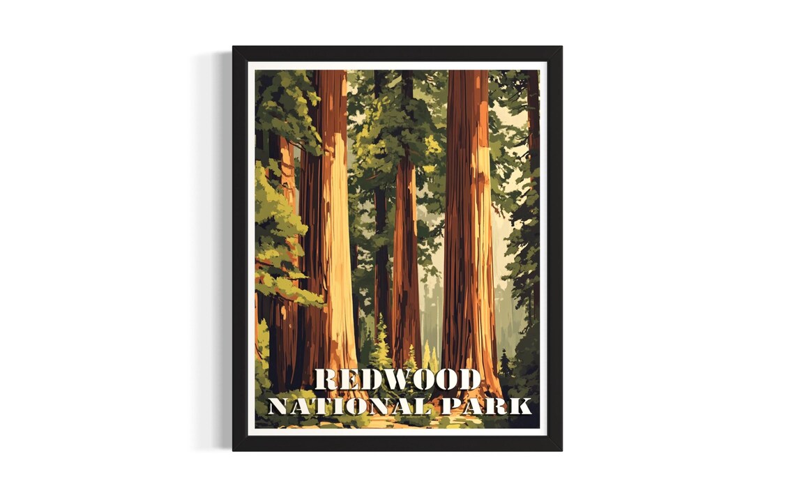 Redwood National Park Vintage Giant Sequoia Forest Trees Poster