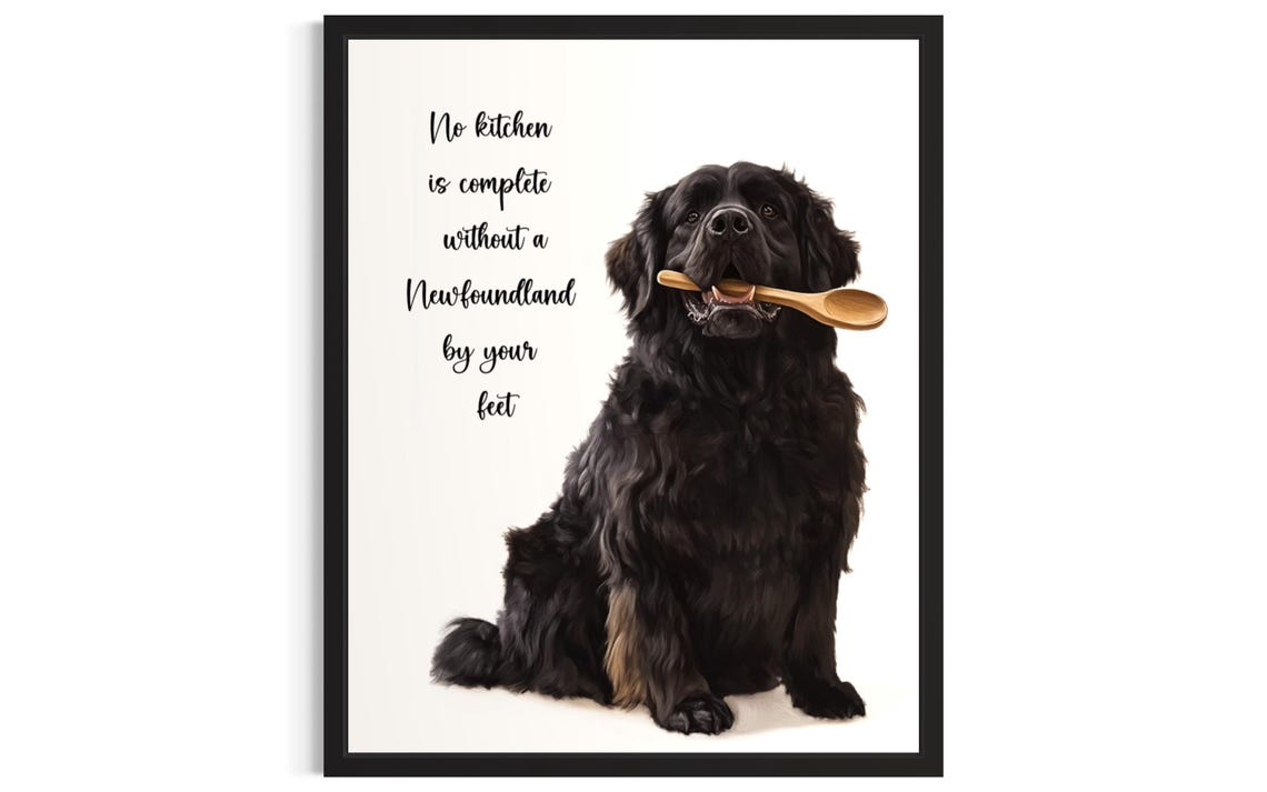 Cute Newfoundland Dog Gripping Wooden Spoon Kitchen Wall Decor Poster