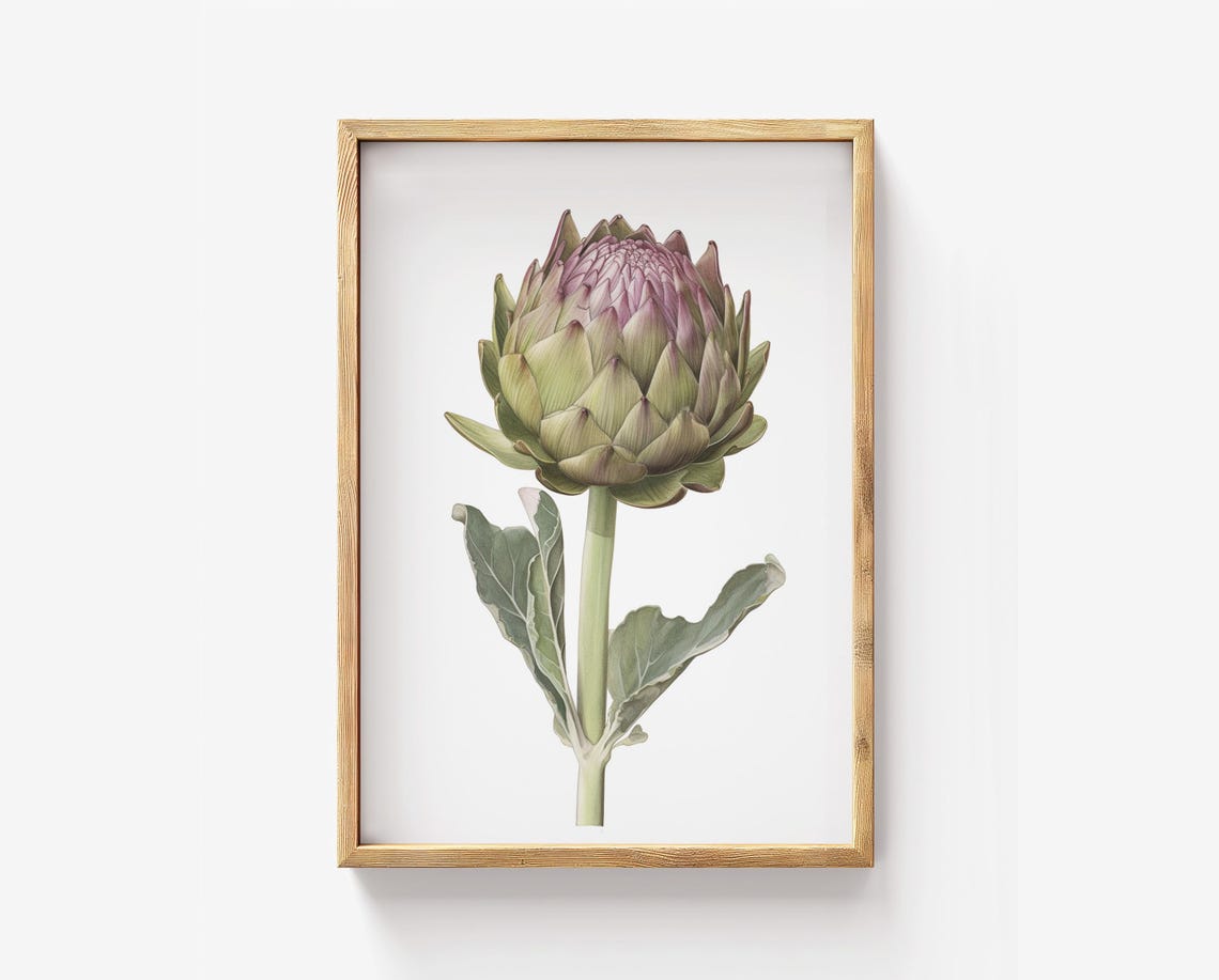 Artichoke Botanical Print Green Purple Kitchen Garden Wall Decor