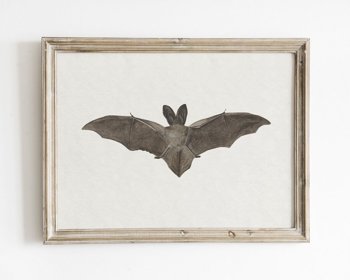 Vintage Bat Painting Halloween Art Print