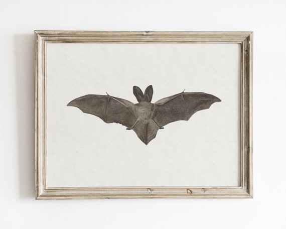 Vintage Bat Painting Halloween Art Print