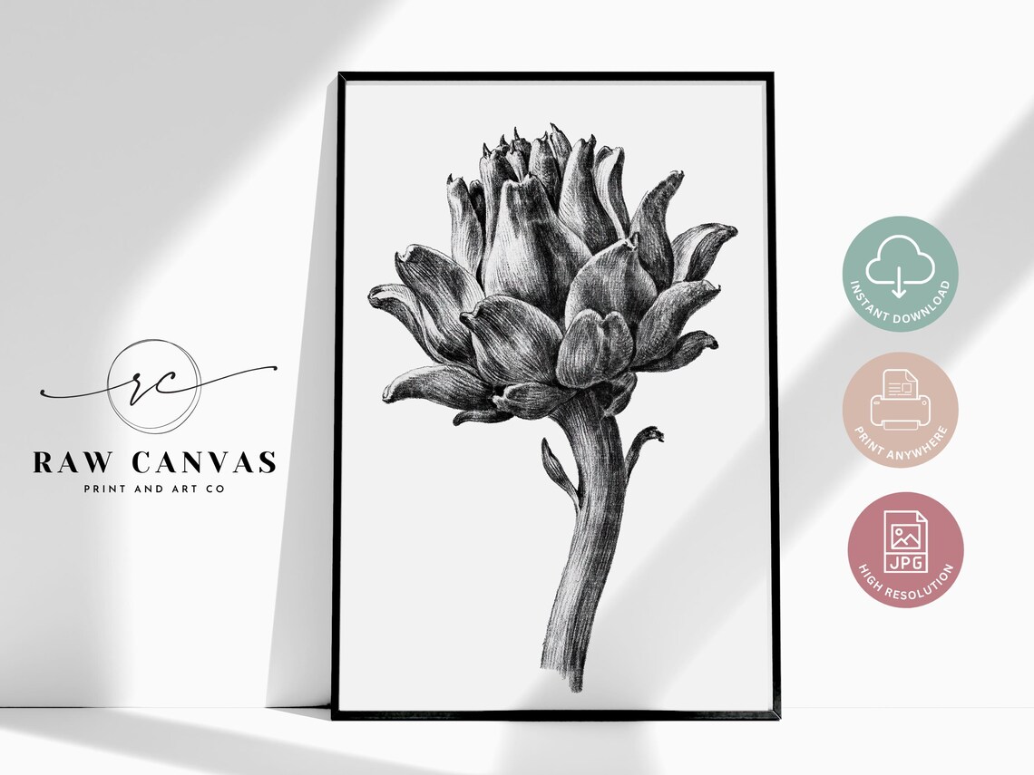 Vintage Botanical Artichoke, French Country Decor