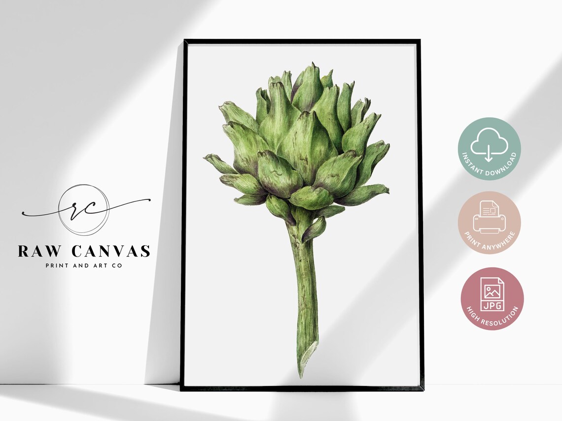 Vintage Botanical Artichoke, French Country Decor