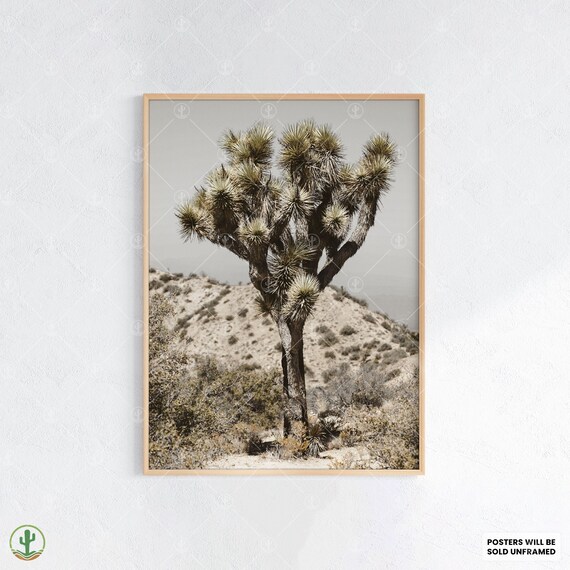 Joshua Tree Desert Landscape Vintage Style Nature Photography Poster