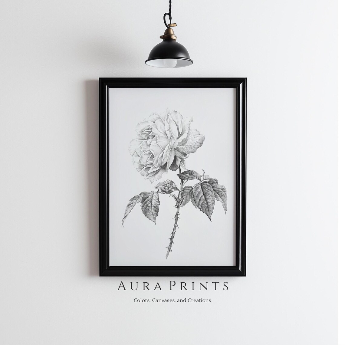 Antique Rose Botanical Pencil Sketch Neutral Vintage Floral Poster