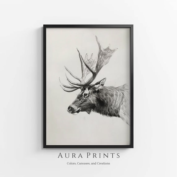 Noble Elk Sketch Nature Illustration Vintage Wall Decor Gift 0944